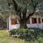 Holiday home La Casa Tra Gli Olivi