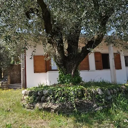 Vakantiehuis La Casa Tra Gli Olivi