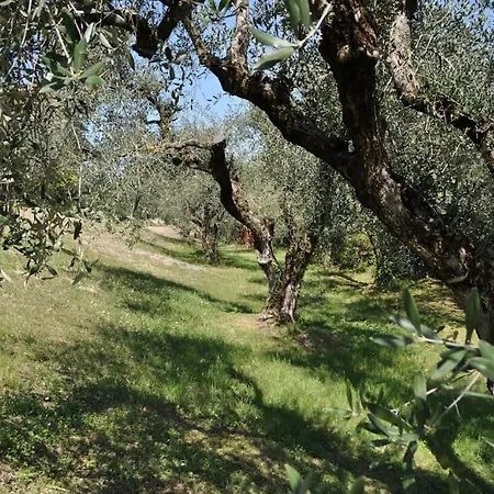 La Casa Tra Gli Olivi * סונה